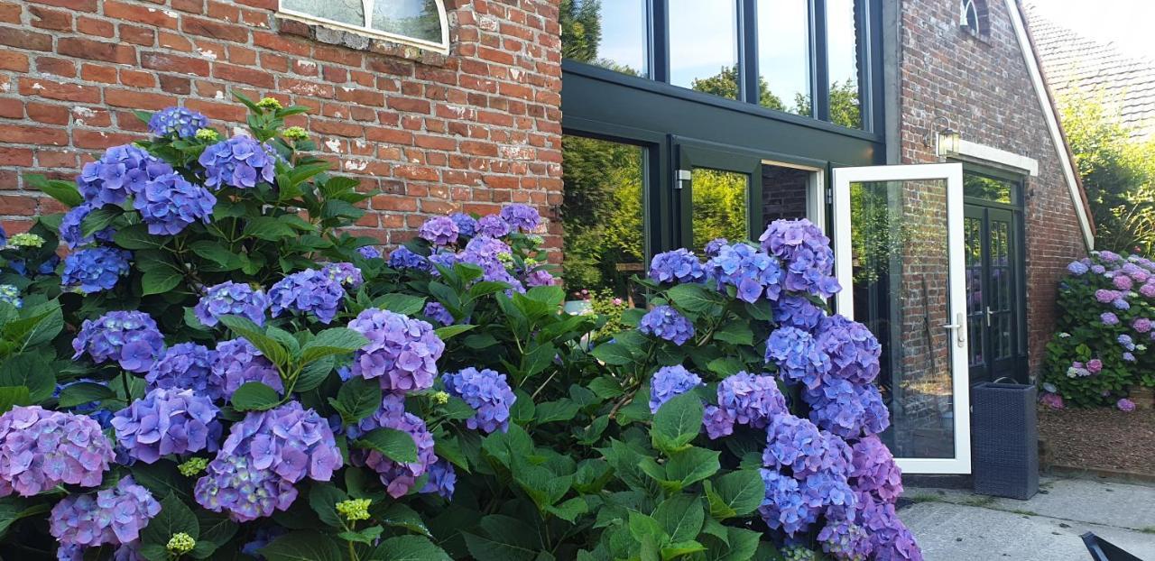 Boeren Maison Wedde Exterior foto